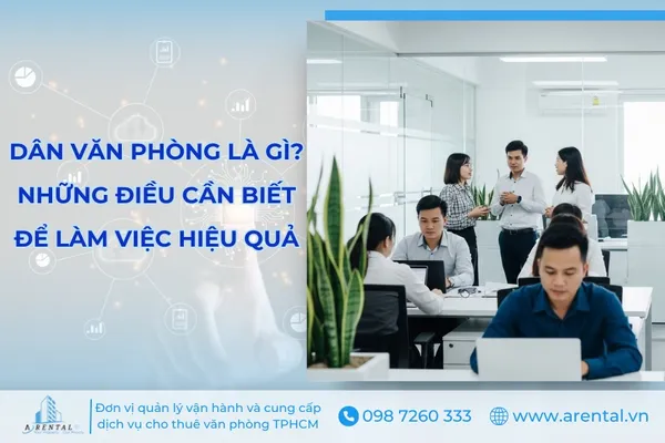 Dân Văn Phòng Là Gì? Những Vấn Đề Thường Gặp & Các Thói Quen Tốt