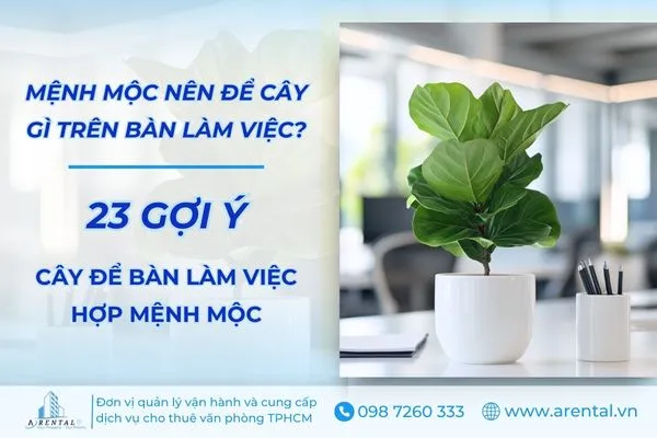 23 Loại Cây Để Bàn Làm Việc Hợp Mệnh Mộc Đẹp Và Dễ Chăm Sóc