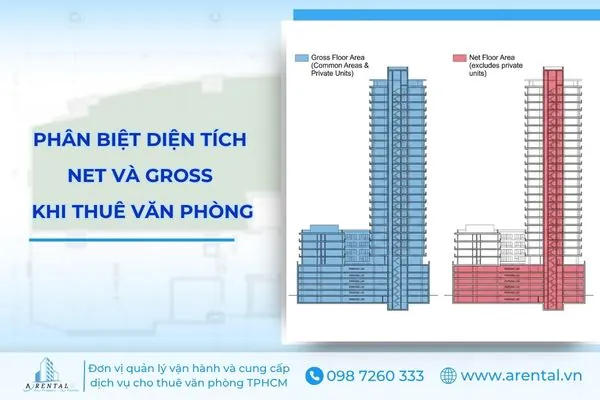 Phân biệt diện tích Net và diện tích Gross khi thuê văn phòng chi tiết