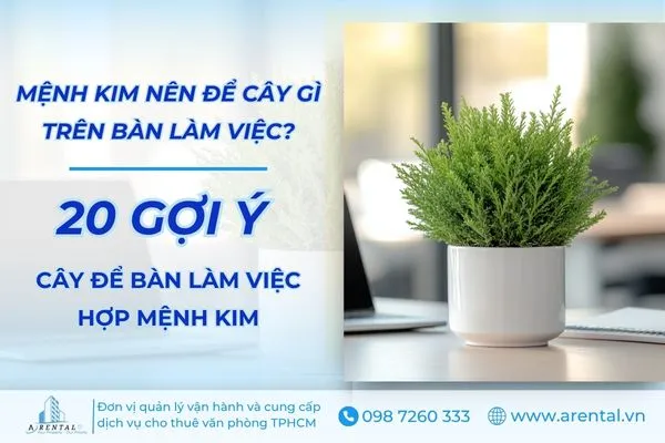 Gợi Ý 20 Cây Để Bàn Làm Việc Hợp Mệnh Kim Đẹp & Độc Đáo