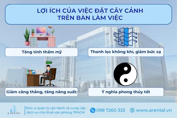 Lợi ích của việc đặt cây cảnh trên bàn làm việc.