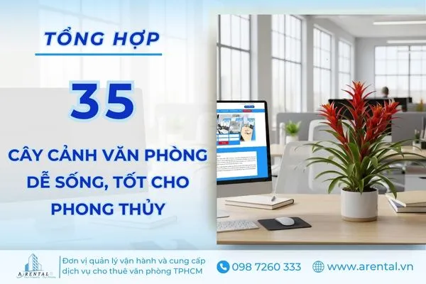 Tổng hợp 35 cây cảnh văn phòng tốt cho phong thủy và dễ chăm sóc.