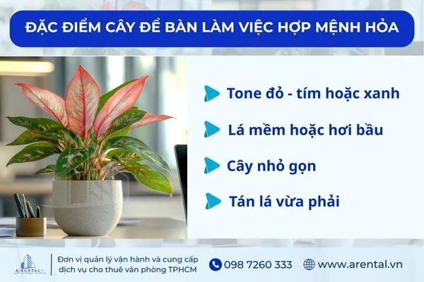 Đặc điểm của cây cảnh để bàn làm việc hợp mệnh Hỏa.