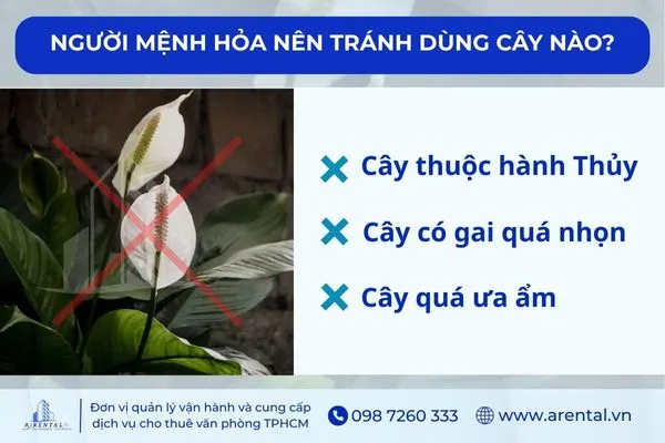 Đặc điểm của cây mà người mệnh Hỏa không nên sử dụng để trang trí bàn làm việc.
