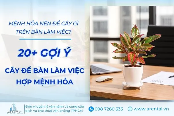Gợi ý 20+ cây để bàn làm việc hợp mệnh Hỏa đẹp, thu hút năng lượng tích cực.