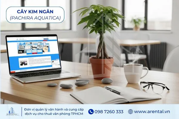 Cây Kim Ngân hợp mệnh Kim để bàn làm việc mang đến sự giàu có, tài lộc.