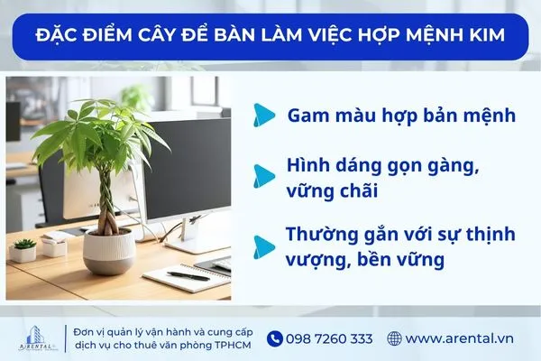 Đặc điểm của cây để bàn làm việc theo mệnh Kim.