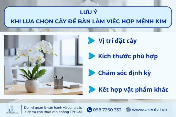 Lưu ý khi lựa chọn cây để bàn làm việc theo mệnh Kim.