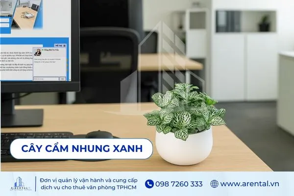 Cẩm Nhung Xanh lá vân đẹp, nhỏ nhắn cho bàn làm việc.