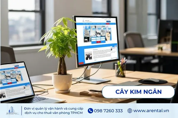 Cây Kim Ngân hợp mệnh Mộc, thích hợp đặt trên bàn làm việc để thu hút tài lộc.