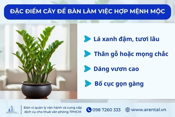 Đặc điểm của cây để bàn làm việc hợp với mệnh Mộc.
