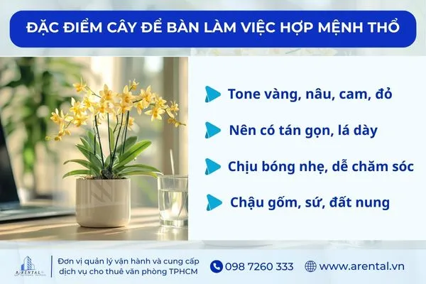 Đặc điểm của cây cảnh để bàn làm việc hợp mệnh Thổ.