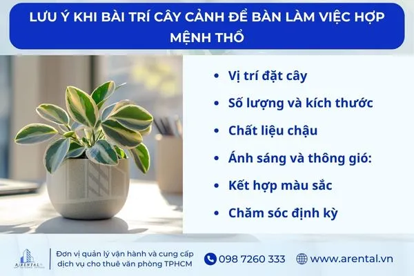 Lưu ý khi bài trí cây cảnh để bàn làm việc hợp mệnh Thổ.