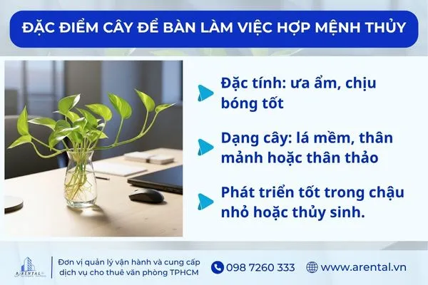 Đặc điểm của cây để bàn làm việc mệnh Thủy..