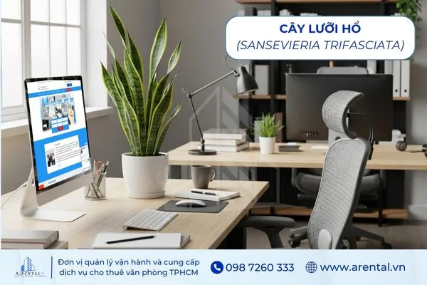 Lưỡi Hổ cây để bàn làm việc hợp mệnh thủy mang đến sự mạnh mẽ.