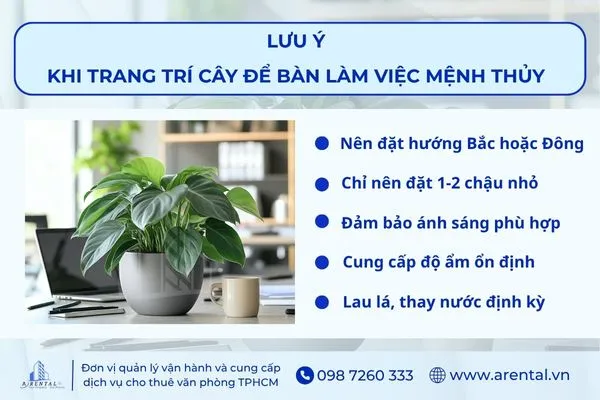 Lưu ý khi lựa chọn cây hợp mệnh Thủy để bàn làm việc.