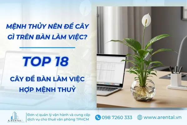 Tổng hợp danh sách 18 cây để bàn làm việc hợp mệnh Thủy giúp thu hút may mắn.