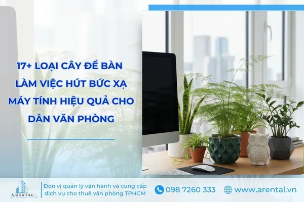 Danh sách các cây để bàn làm việc hút bức xạ máy tính hiệu quả.