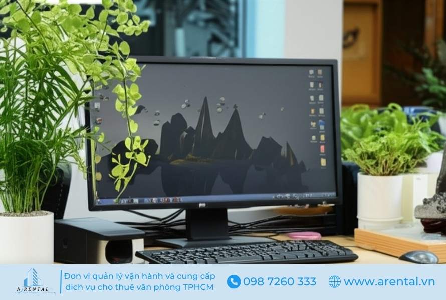 Trang trí cây xanh cho chỗ ngồi làm việc phong thủy.