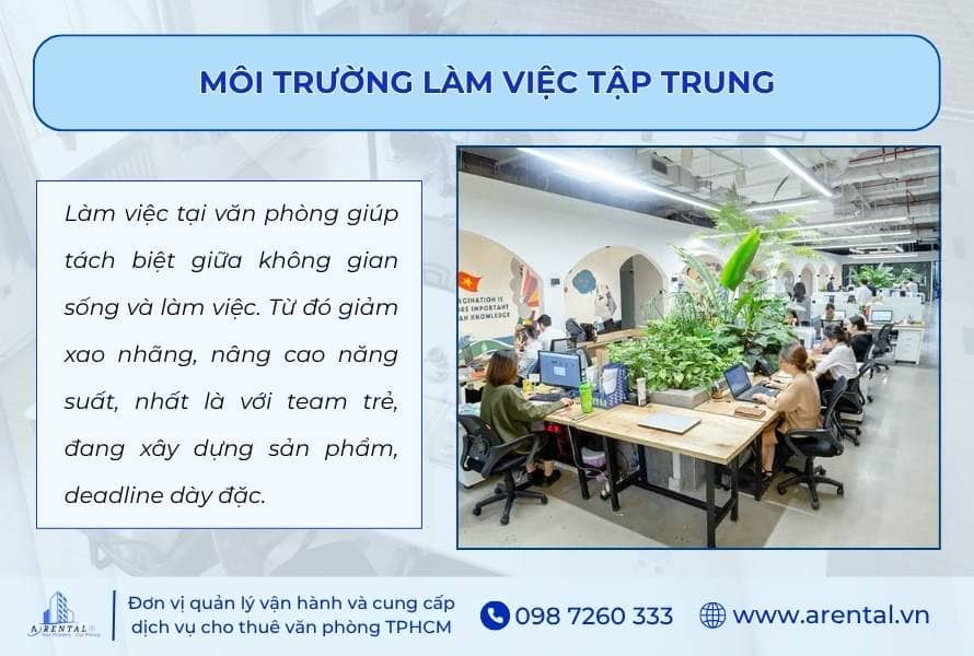 Môi trường làm việc tập trung khi chọn thuê văn phòng cho startup.