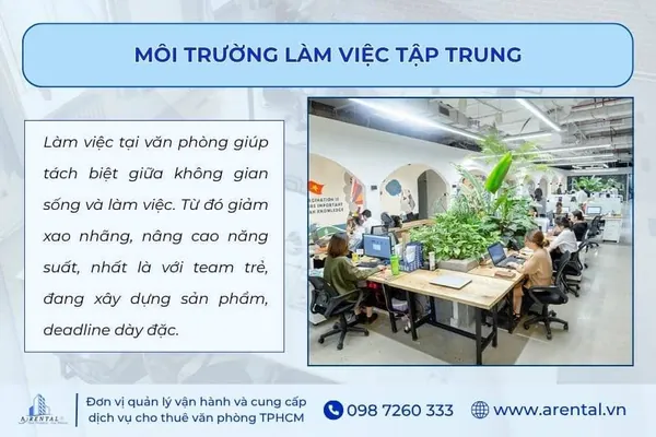 Môi trường làm việc tập trung khi chọn thuê văn phòng cho startup.