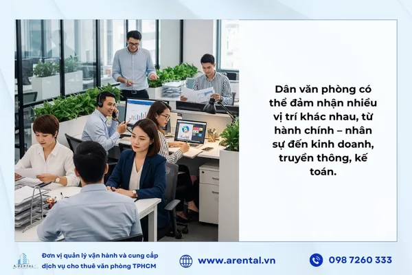 Dân văn phòng có thể đảm nhận nhiều vị trí khác nhau, từ hành chính – nhân sự đến kinh doanh, truyền thông, kế toán.
