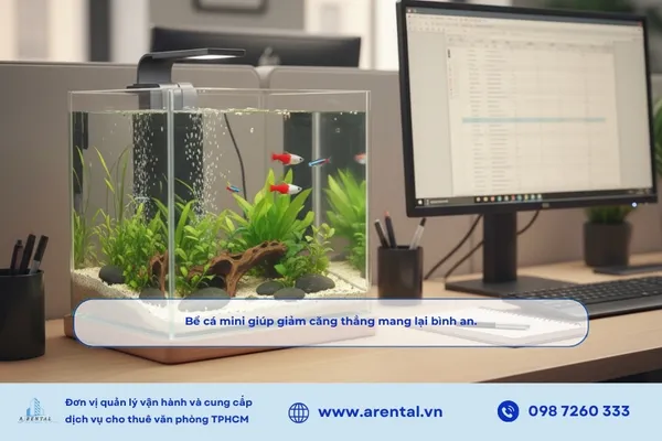Bể cá mini giúp giảm căng thẳng mang lại bình an.