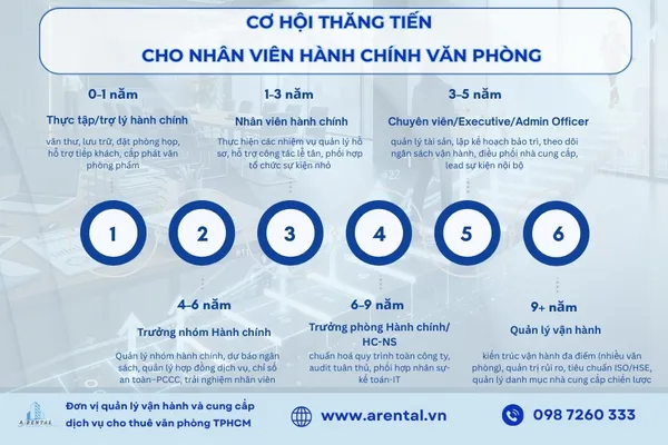 Nhân viên hành chính văn phòng có lộ trình thăng tiến rõ ràng từ thực tập đến quản lý cấp cao.