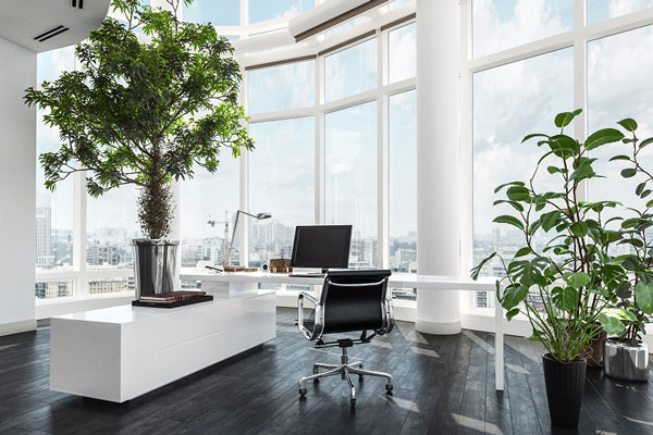 Natural light and greenery assist in productivity and reducing worker stress.