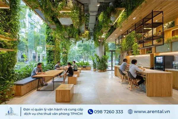 Pantry xanh mang thiên nhiên vào văn phòng, giúp thanh lọc không khí và giảm stress hiệu quả.