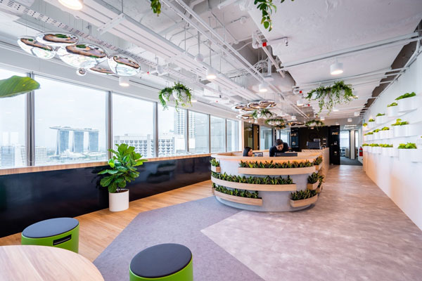 Trong phong cách thiết kế văn phòng Eco, cây xanh là nguyên tắc không thể thiếu.