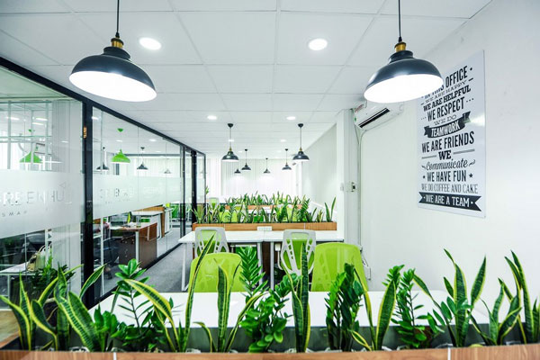 Không gian văn phòng làm việc đầy sức sống khi áp dụng phong cách Eco.