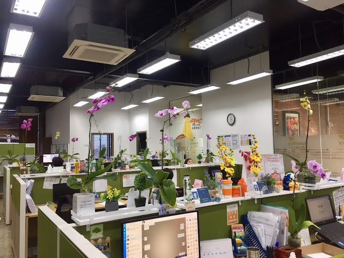 việc thuê nhà nguyên căn sẽ giúp các doanh nghiệp này tiết kiệm chi phí thuê văn phòng