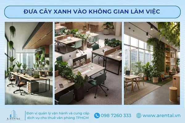 Cây xanh không chỉ làm đẹp không gian mà còn giúp thanh lọc không khí và giảm căng thẳng.